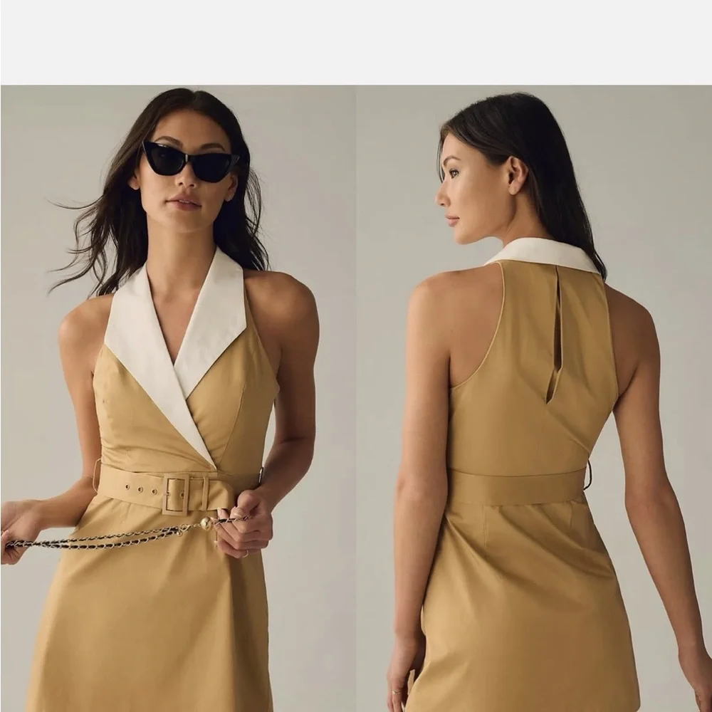 Hutch Tan and White Mini Dress - Picture 3 of 5